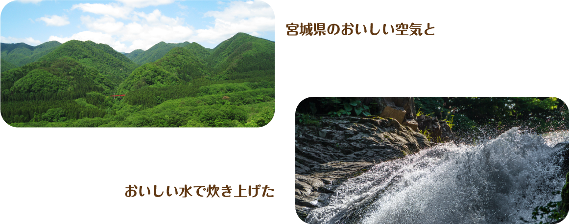 宮城県のおいしい空気と おいしい水で炊き上げた